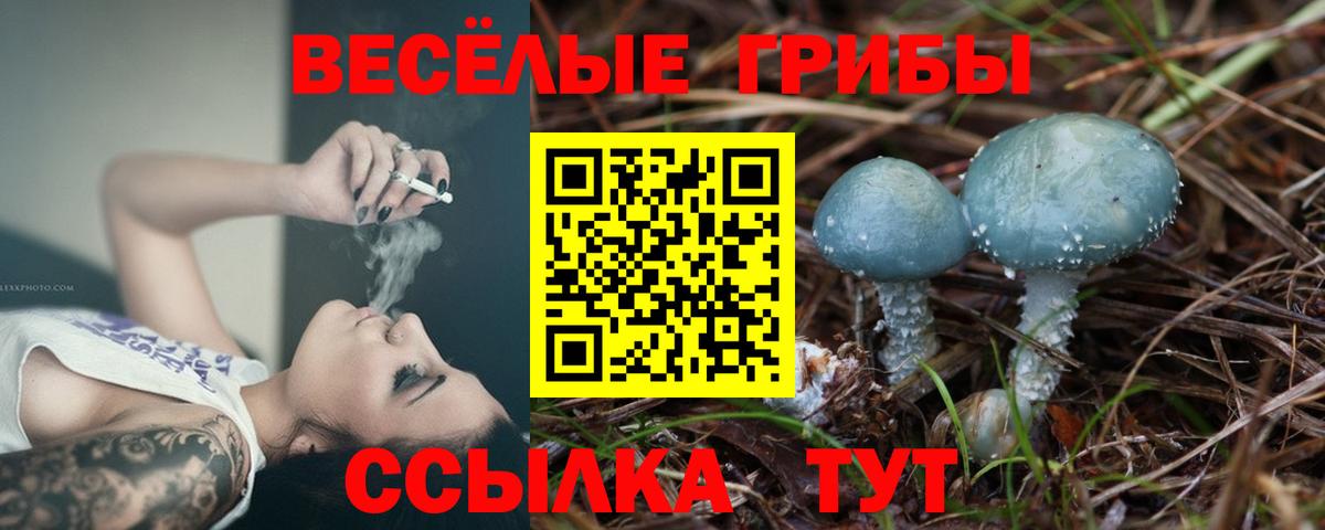 Галлюциногенные грибы GOLDEN TEACHER  как найти   Галлюциногенные грибы Cubensis  Трёхгорный  Вход с VPN 
